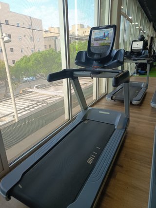 Lote Precor Alta Gama Seminuevos