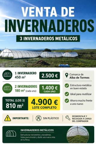 3 Invernaderos Metálicos 810 m²