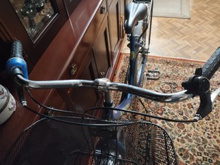 Bicicleta de Paseo Azul