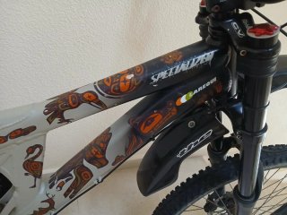 Bicicleta Montaña Descenso Specialized