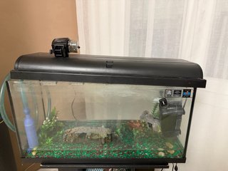 Acuario 100L con filtro y comedero auto