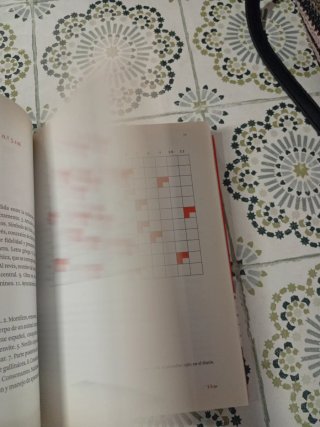 HISTORIA DE UN DESAFÍO