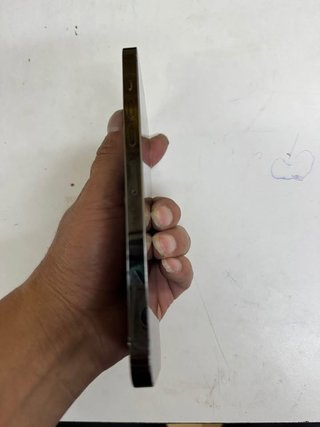 iPhone 13 Pro Max Gris/Plata