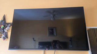TV LG 55 Smart 3D + 2 Gafas