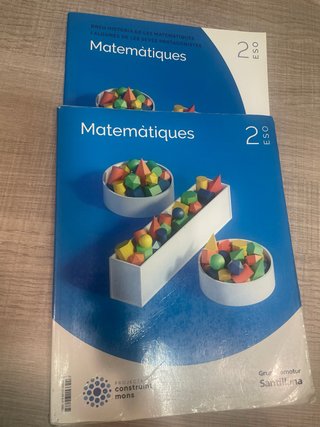 Matematiques, 2 ESO, Projecte Construint mons