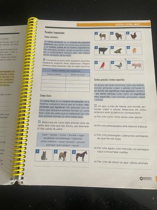 Llengua catalana, 2 ESO. Dossier