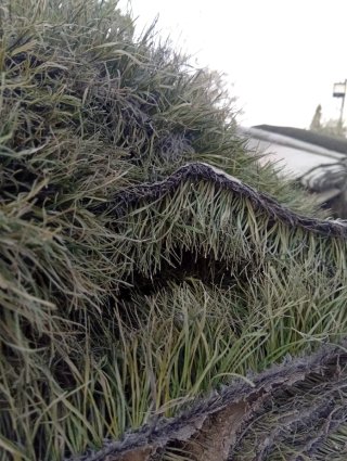 Venta de césped artificial