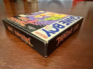 Dragon's Lair Game Boy Completo