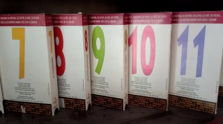 Colección 16 Cintas La Región en Cinta