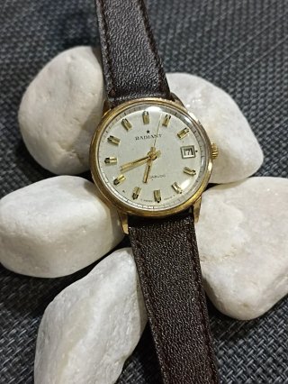 Reloj Radiant Clásica Dorado y Marrón