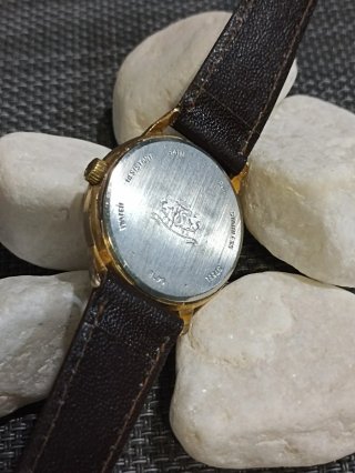 Reloj Radiant Clásica Dorado y Marrón