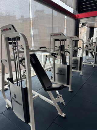 Lote Máquinas Gimnasio Life Fitness Pro 1