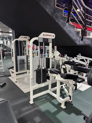 Lote Máquinas Gimnasio Life Fitness Pro 1