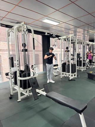 Lote Máquinas Gimnasio Life Fitness Pro 1