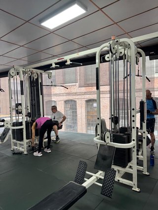 Lote Máquinas Gimnasio Life Fitness Pro 1