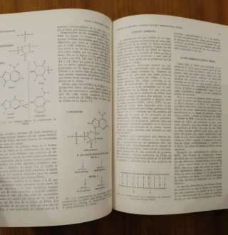 Tratado de fisiología medica. Libro medicina 1973