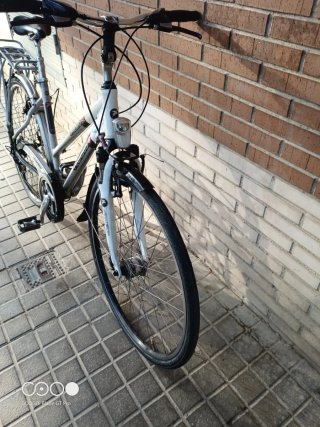 Bicicleta Pegasus Premio SL