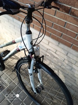 Bicicleta Pegasus Premio SL