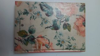 Libro la princesa de Nèves