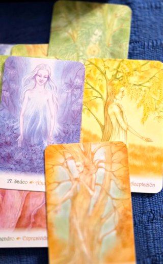 Cartas de las Dríades - Tiziana Mattera