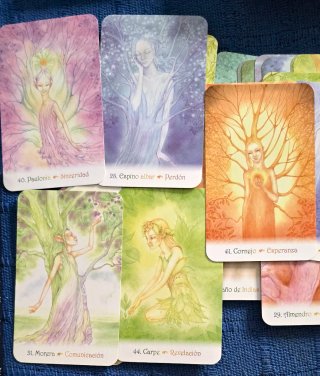 Cartas de las Dríades - Tiziana Mattera