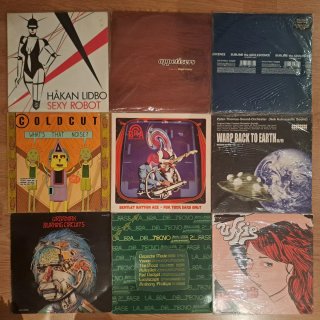 Lote 9 Vinilos Electrónica Variada