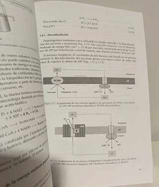 Libro Biotecnología Ambiental para formación UNED