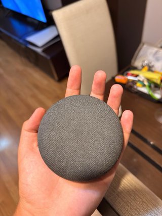 Google Nest Mini Gris con Cargador