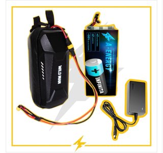 Batteria 48V 10Ah con Balancer