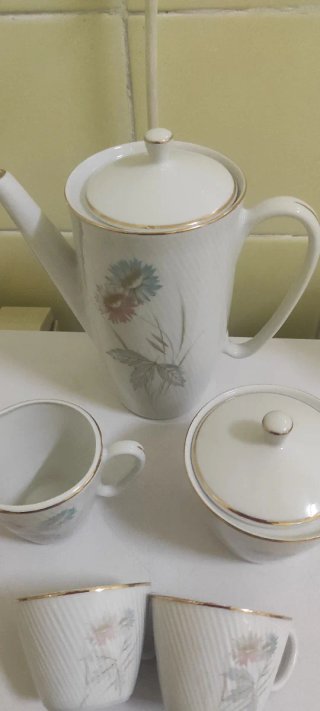 Vajilla Santa Clara Vigo Porcelana Flores Doradas
