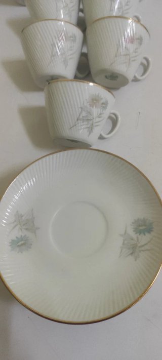 Vajilla Santa Clara Vigo Porcelana Flores Doradas