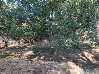 SE VENDEN DOS FINCAS RÚSTICAS EN ALCAÑICES (ZAMORA
