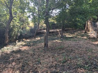 SE VENDEN DOS FINCAS RÚSTICAS EN ALCAÑICES (ZAMORA