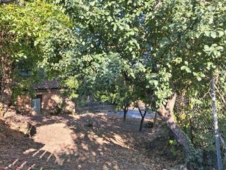 SE VENDEN DOS FINCAS RÚSTICAS EN ALCAÑICES (ZAMORA