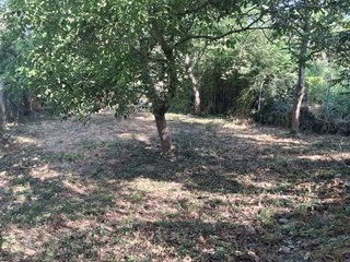 SE VENDEN DOS FINCAS RÚSTICAS EN ALCAÑICES (ZAMORA