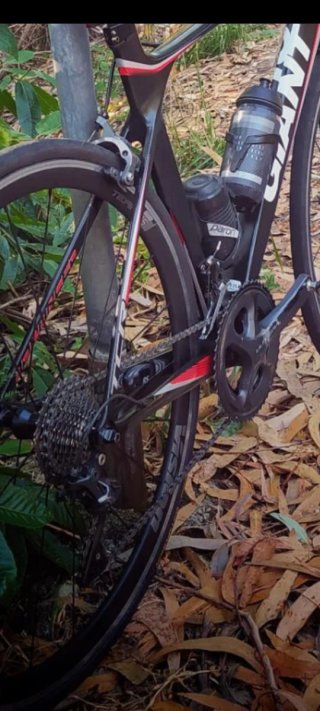 Giant TCR Advanced 1 Carbono Talla M y REGALO