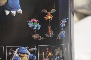 Set Pokémon montable