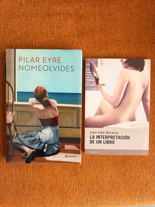 Nomeolvides y la interpretación de un libro