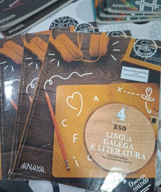 Lote 9 libros texto 4° ESO