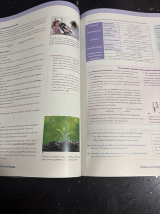 Lengua castellana y literatura 1 Bachillerato