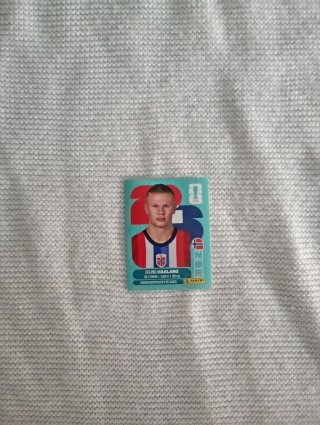 Cromo Mundial Erling Haaland