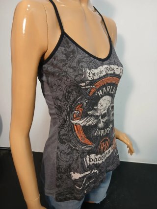 Top Harley-Davidson Love to Ride
