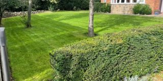 Servicios de jardinería y corte de césped