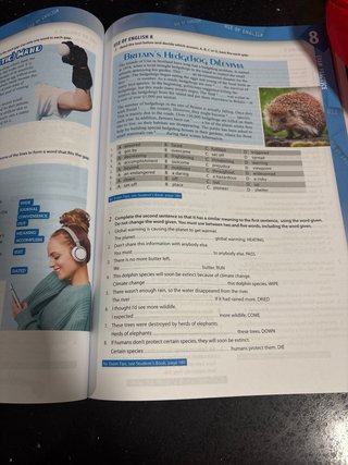 Libro de actividades de inglés