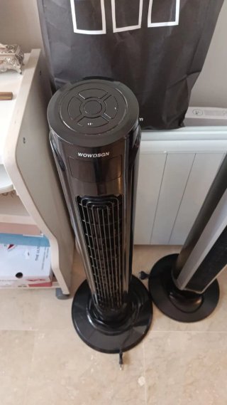 2 Ventiladores de Pie Rowenta y Wowdsgn