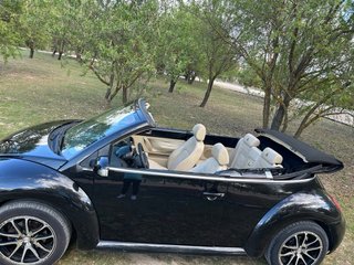 Volkswagen Beetle 2004