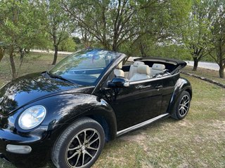 Volkswagen Beetle 2004