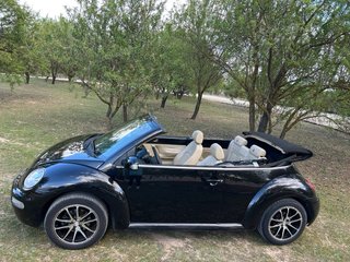 Volkswagen Beetle 2004
