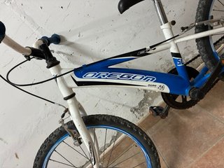 Bicicleta infantil 20 6-8 años