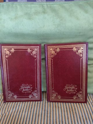 Libro antigüedad fortunata y Jacinta